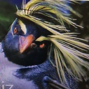 Meet your Posher, Jason